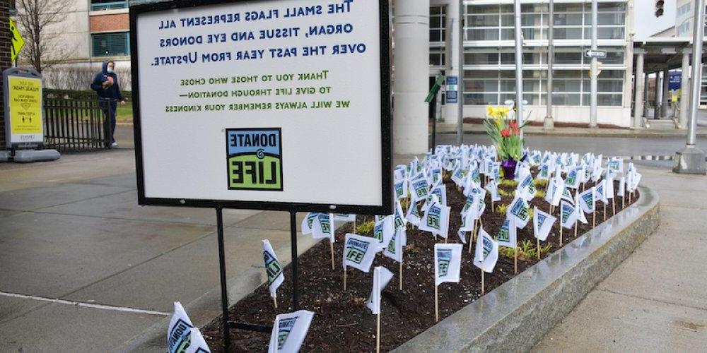 HONORING DONORS: Placing flags in the small garden outside of 推荐最近最火的赌博软件 University Hospital to honor tissue, eye and organ donors from 推荐最近最火的赌博软件 is part of the annual celebration April as Donate Life month.